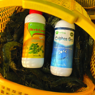 SỰ KẾT HỢP HOÀN HẢO CỦA 18 LOẠI THẢO DƯỢC CÙNG VỚI SORBITOL GIÚP GIẢI ĐỘC GAN, TÁI TẠO TẾ BÀO GAN BỊ TỔN THƯƠNG, PHÒNG NGỪA CÁC BỆNH VỀ GAN, CẢI THIỆN SỨC KHỎE VÀ MÀU SẮC GAN TỤY CHO TÔM CÁ CHO TÔM CÁ HERB GUARD