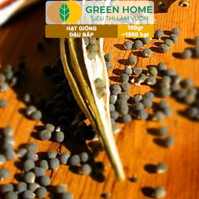Hạt Giống Đậu Bắp GreenHome, GÓI 100GR, Dễ Trồng, Nảy Mầm Cao, Thu Hoạch Nhanh, Năng Suất T47