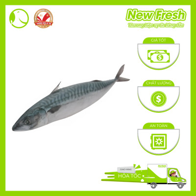 Cá Saba Nauy Nguyên Con - Túi 1Kg