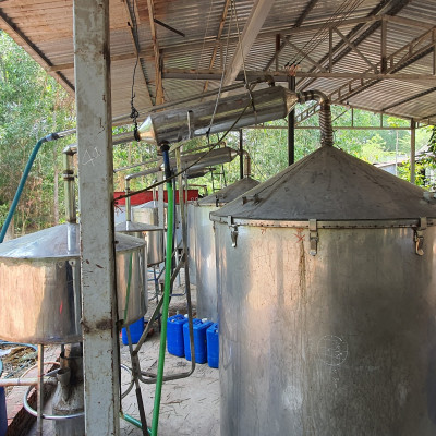 Tinh dầu Hương Nhu 100ml Mộc Mây - tinh dầu thiên nhiên nguyên chất 100% - chất lượng và mùi hương vượt trội - chuyên gia chăm sóc tóc hư tổn