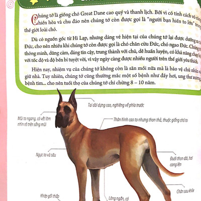 Bách Khoa Động Vật Dành Cho Trẻ Nhỏ - Thú Cưng