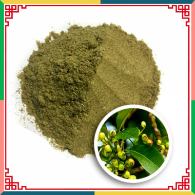 Trà lá vối túi lọc - Kiểm soát tiểu đường, tốt cho tiêu hóa FTAKY