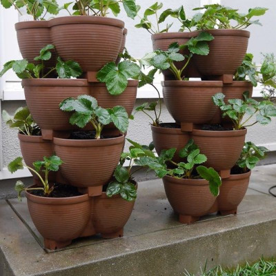 Chậu nhựa trồng cây cảnh 03 khoang Yamada 4L - Nhập khẩu trực tiếp từ Nhật Bản