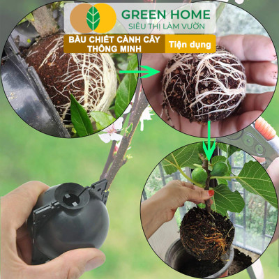 Bầu Chiết Cành Greenhome, Dụng Cụ Làm Vườn, Tăng Khả Năng Ra Rễ, Chống Úng Cành Chiết, Độ Bền Đến 2 Năm, Dễ Sử Dụng