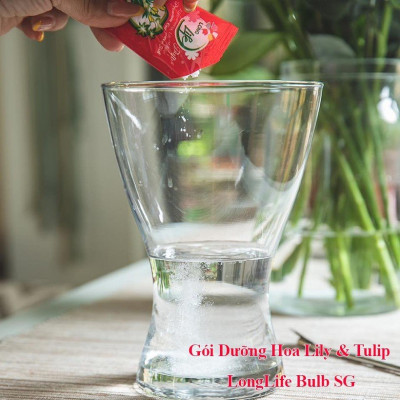 Thuốc cắm hoa Lily lâu tàn nhập khẩu Israel (1 hộp 5 gói  pha 50L nước că) hiệu Longlife Bulbs Premium 2023 giúp hoa tulip và hoa lily tươi gấp 2 lần và 14 ngày không thay nước