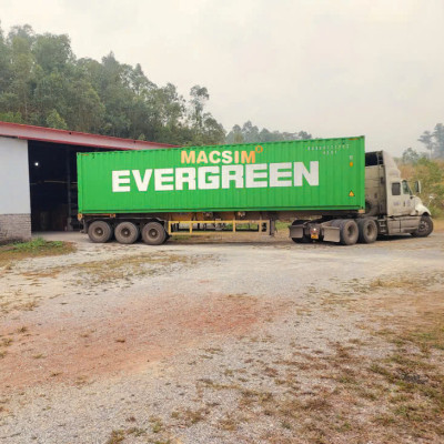 Thảm lót sàn 1 lớp sd3 Vinfast VF3 - nhãn hiệu Macsim