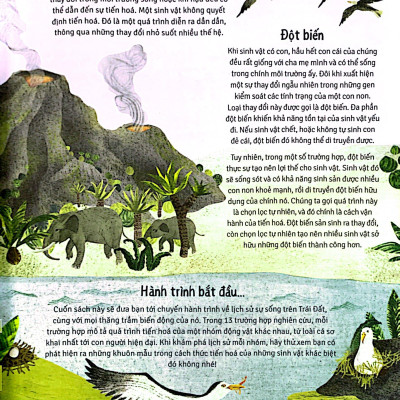 Thời Cá Voi Biết Đi