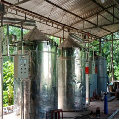 Tinh dầu Khuynh Diệp (bạch đàn) 100ml nguyên chất từ thiên nhiên - Mộc Mây