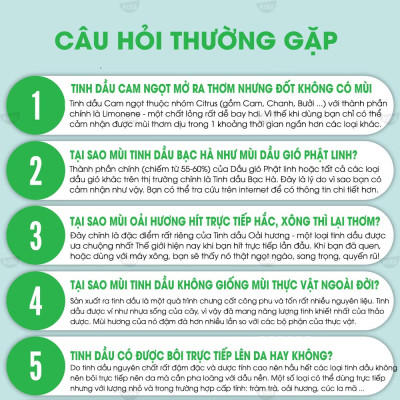Tinh Dầu Nguyệt Quế Kobi Bay Leaf Essential Oil Giúp Đuổi Muỗi, Khử Mùi, Làm Thơm Phòng - 5ml