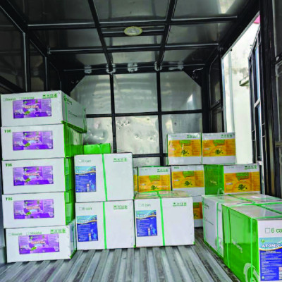 SỰ KẾT HỢP HOÀN HẢO CỦA 18 LOẠI THẢO DƯỢC CÙNG VỚI SORBITOL GIÚP GIẢI ĐỘC GAN, TÁI TẠO TẾ BÀO GAN BỊ TỔN THƯƠNG, PHÒNG NGỪA CÁC BỆNH VỀ GAN, CẢI THIỆN SỨC KHỎE VÀ MÀU SẮC GAN TỤY CHO TÔM CÁ CHO TÔM CÁ HERB GUARD