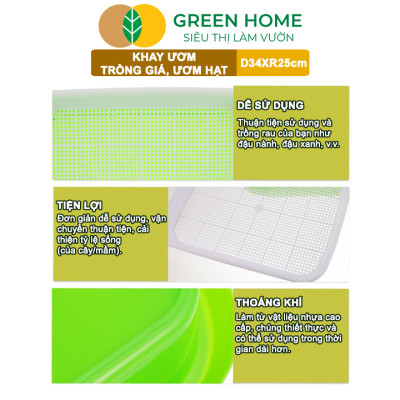 Khay Trồng Rau Greenhome, D34xR25xC5cm, Nhựa Nguyên Sinh, An Toàn, Chuyên Trồng Giá, Rau Mầm Tại Nhà, Không Cần Đất