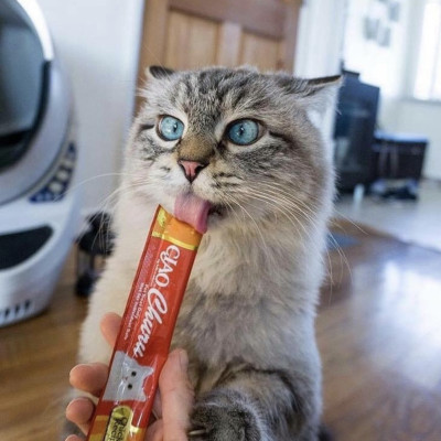 Súp thưởng CIAO Churu hũ 50 thanh cho mèo _ Nhập khẩu chính hãng INABA Thái Lan