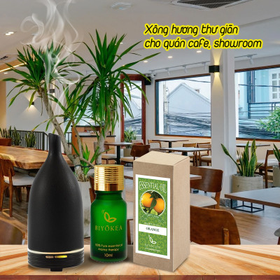 Tinh Dầu Quýt Biyokea (10ml)