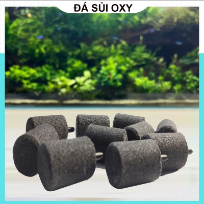 Bộ 2 Sủi oxy to, đá sủi oxy, quả sủi oxy Loại tốt, Cỡ trung đường kính 2.5cm, cao 5.3cm, nặng 60gr dùng cho Máy sủi oxy, Máy sục khí - Tăng lượng khí oxy bể cá - Giúp cá lớn nhanh, phát triển mạnh