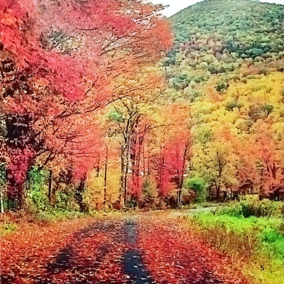 Thiên Nhiên Quanh Bé - Sắc Màu Thiên Nhiên