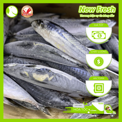 Cá Saba Nauy Nguyên Con - Túi 1Kg