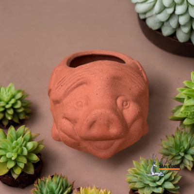 Chậu Gốm Đất Nung Hình chú Heo Con Mini