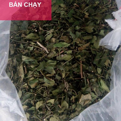Chè vằng sẻ Tuệ Tâm - Chè vằng lá nhỏ ( Giảm cân lợi sữa, thanh nhiệt mùa hè) - Gói 1kg