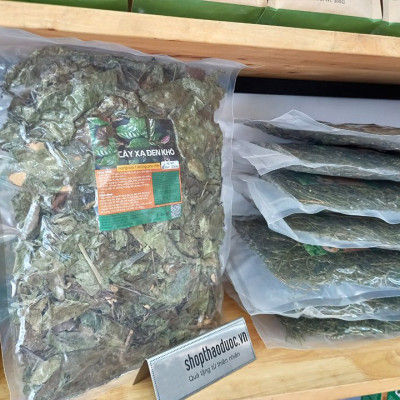 Cây Xạ Đen Shop Thảo Dược - Xạ Đen Mát Gan, Ổn Định Huyết Áp