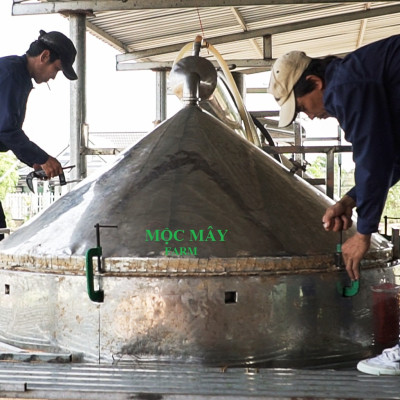 Tinh dầu Táo 10ml Mộc Mây - tinh dầu thiên nhiên nguyên chất 100% - chất lượng và mùi hương vượt trội - Có kiểm định