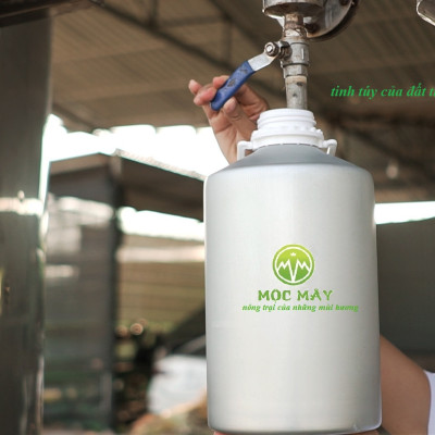 Tinh dầu Khuynh Diệp (bạch đàn) 100ml nguyên chất từ thiên nhiên - Mộc Mây