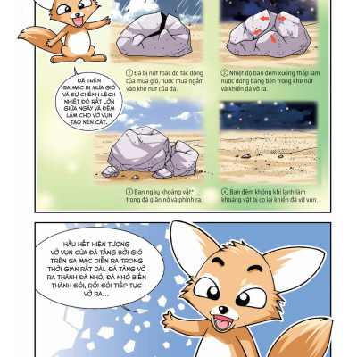 Quiz! Khoa Học Kì Thú: Sa Mạc Rừng Rậm