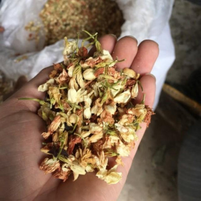 nụ hoa nhài phơi lạnh túi 1kg