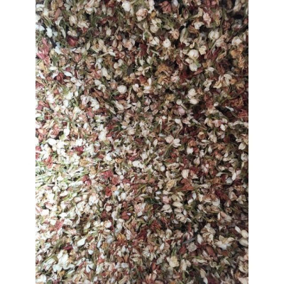 nụ hoa nhài phơi lạnh túi 1kg