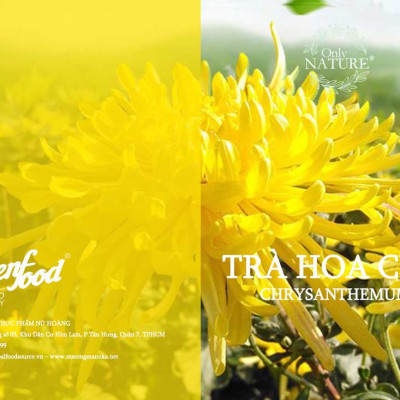 Hoa Cúc Sấy Khô Jing Si Huang Ju Hộp Thiết/ 20 bông