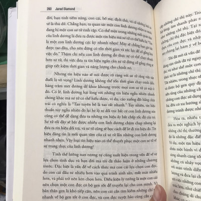 Loài tinh tinh thứ ba