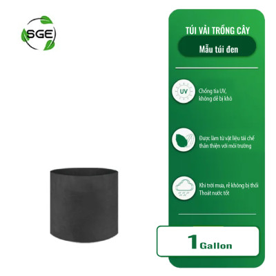 Chậu Vải Trồng Cây GB Cây Sinh Trưởng Nhanh Hơn Cây Trồng Trong Túi Hoặc Chậu Nhựa Phổ Biến Trong Kinh Doanh Nông Nghiệp SGE