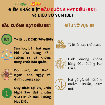 Đầu cuống hạt điều rang mộc O