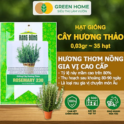 Hạt Giống Cây Hương Thảo GreenHome, Rosemary, Gói 0,03g~35 hạt, Dễ Trồng, Thu Hoạch Quanh Năm G06