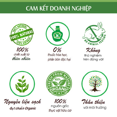 Tinh dầu Cam ngọt 100ml nguyên chất từ thiên nhiên, thơm phòng, xông phòng, đuổi muỗi, khử mùi - KingOil