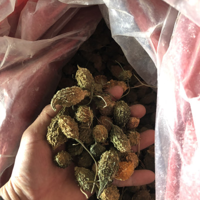 Đặc Sản Kon Tum - Trái Khổ Qua Rừng Sấy Khô Thơm Ngon Hiệu Đặc Sản Và Dược Liệu Kon Tum (1Kg) - OCOP 3 Sao