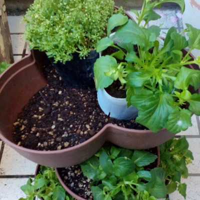 Chậu trồng cây tiện lợi tiết kiệm diện tích chính hiệu Yamada 4L hàng Made in Japan #No583