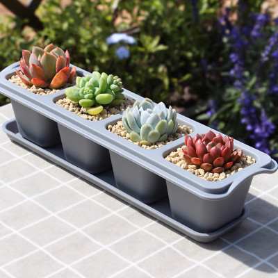 Chậu trồng sen đá MONROVIA, kèm đĩa lót, trồng cây mini, bonsai, xương rồng, decor bàn làm việc