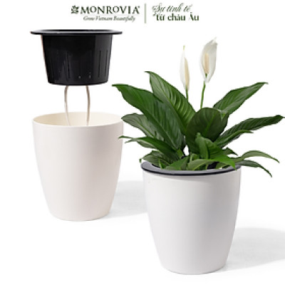 Chậu tự tưới thông minh MONROVIA, cho hoa, cây cảnh, decor nhà cửa, văn phòng, bàn làm việc