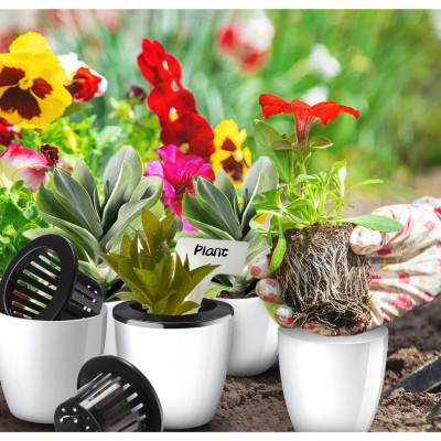 Chậu tự tưới thông minh MONROVIA, cho hoa, cây cảnh, decor nhà cửa, văn phòng, bàn làm việc