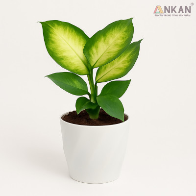 Chậu nhựa xoắn trồng cây ANKAN cho hoa hồng, cây cảnh mini, trồng rau, để bàn, treo ban công