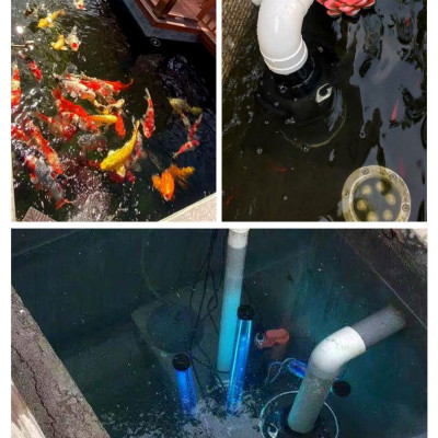 Van Cổng Hồ Koi Cao Cấp: Phi 75, 90, 110mm - Kiểm Soát Dòng Chảy Hoàn Hảo!