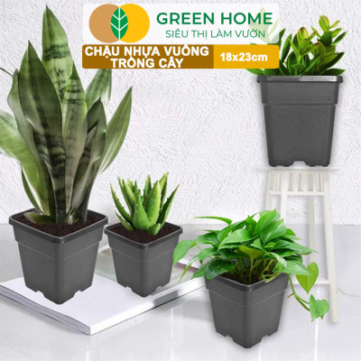 5 Chậu Vuông Trồng Cây Greenhome, Nhiều Kích Thước, Nhựa Cứng, Thoát Nước Tốt, Trồng Hoa, Kiểng Lá
