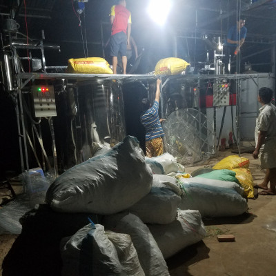 Tinh dầu Khuynh Diệp (bạch đàn) 50ml nguyên chất từ thiên nhiên - Mộc Mây