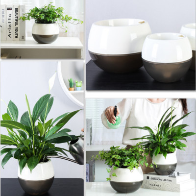 Chậu tự tưới MONROVIA I0 dành cho hoa, cây cảnh, trang trí nhà cửa, văn phòng