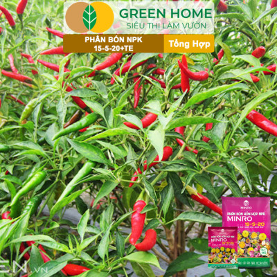 Phân NPK 15-5-20 Greenhome, Minro, Bao 1Kg, Kích Ra Hoa, Tăng Đậu Trái Trên Kiểng, Cây Ăn Trái, Củ