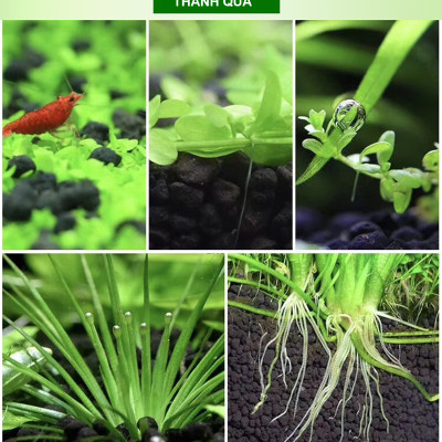 Phân nền thủy sinh DIAMAX AQUA2KG + Xốp Lọc Bể Cá 90x30cm vật liệu lọc nước hồ cá siêu sạch 