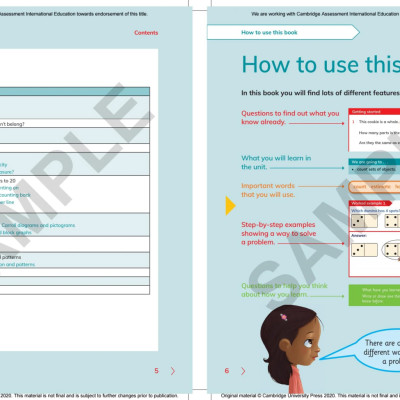 Cambridge Primary Mathematics Learner