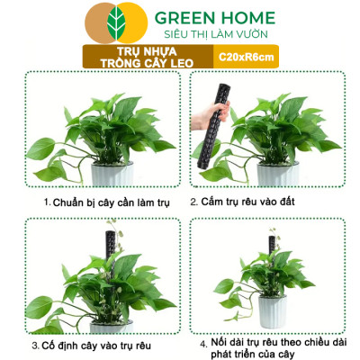 Trụ nhựa trồng cây, D20xR6cm, nhựa cứng, có khớp dễ nối dài, chuyên hệ cây leo, trầu bà, kiểng lá |Greenhome