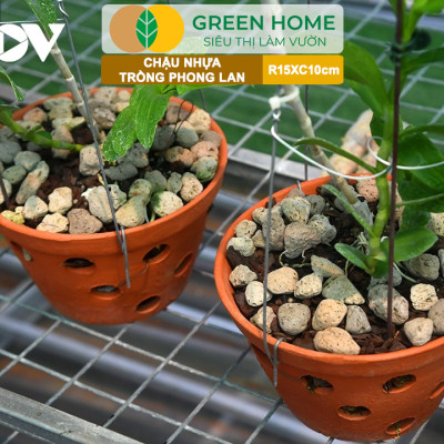 Chậu Trồng Lan Greenhome, R15xC10cm, Nhựa Màu Gốm, Bền, Đẹp, Chống Rơi Vỡ, Thoáng Rễ, Giá Thành Tốt