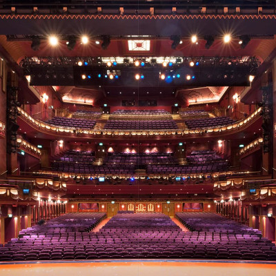 Master Of The House :The Theatres Of Cameron 